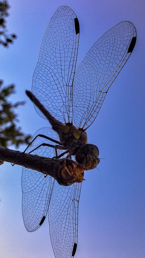 Photograph by Arina Vakili AV
