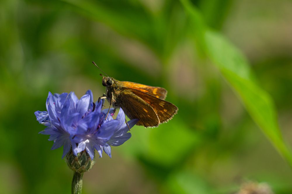 Photograph by Татьяна Чумакова