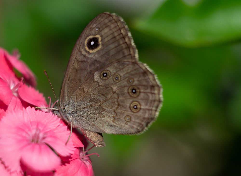 Photograph by Татьяна Чумакова