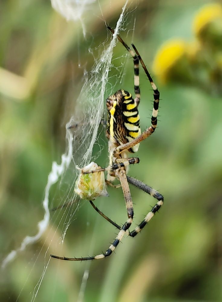 Photograph by Кристина Феминова