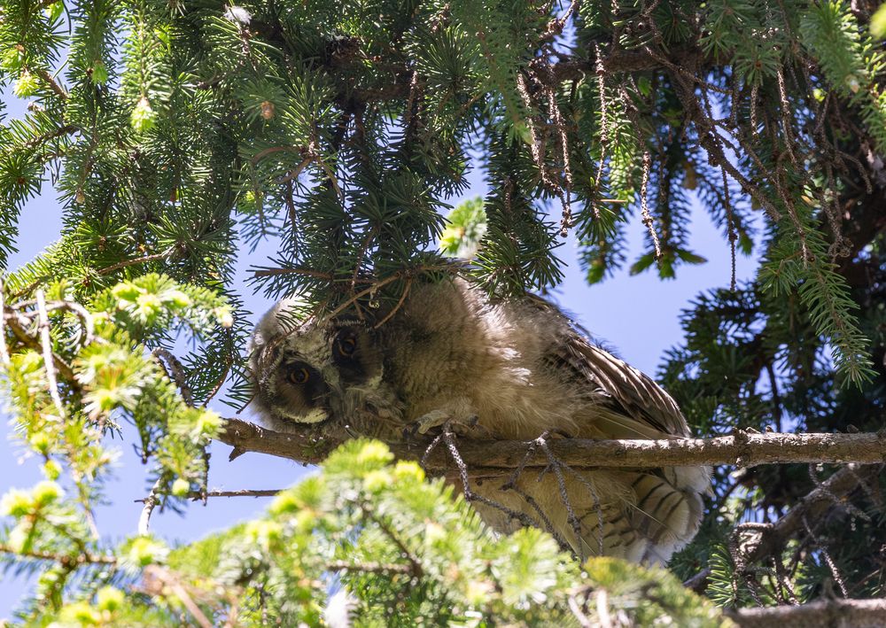 Photograph by Дмитрий Макинский