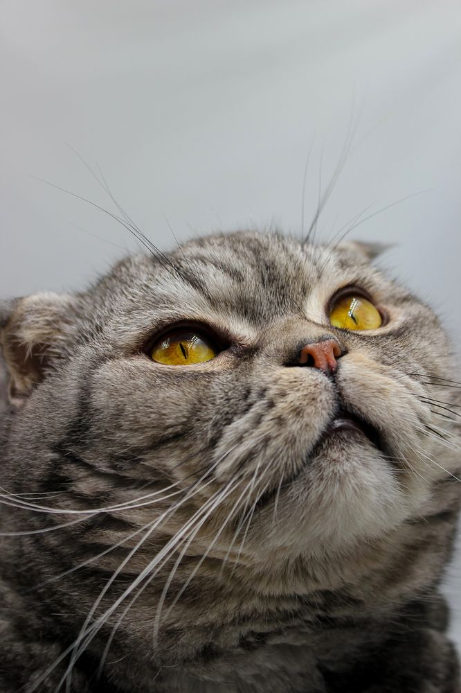 Photograph by NATALIA VESNINA