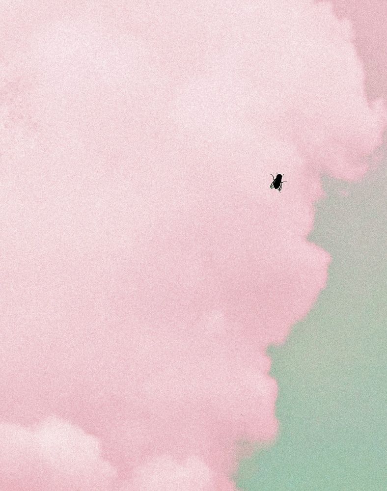 Photograph by Людмила Дорошева