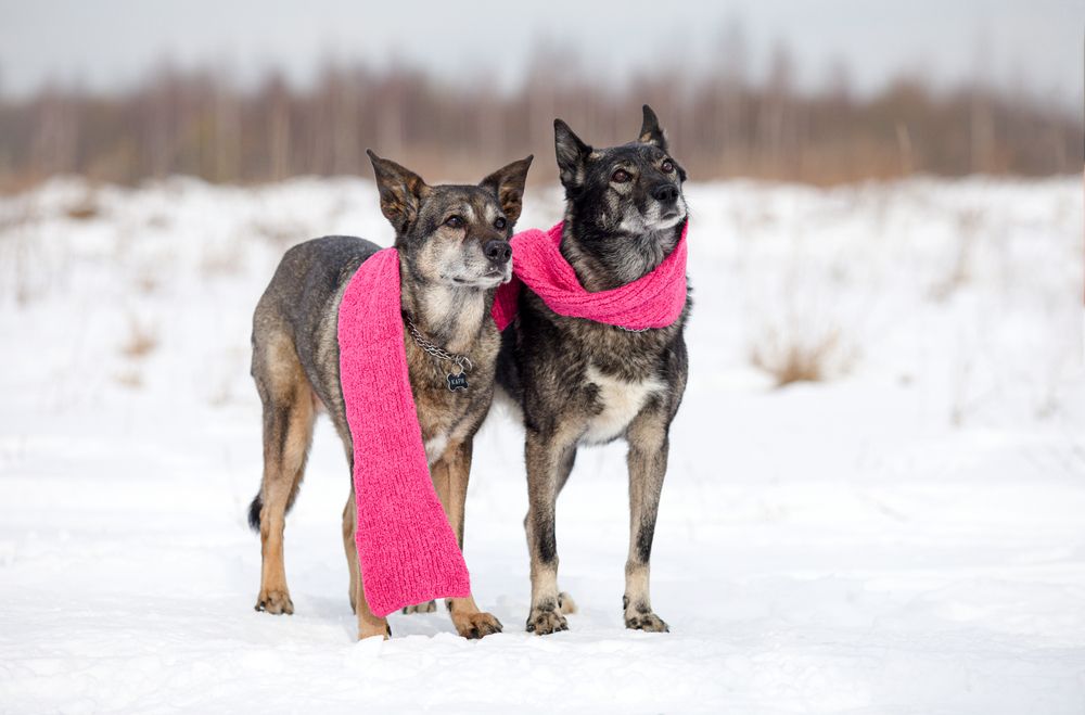 Photograph by Татьяна Миняйлова