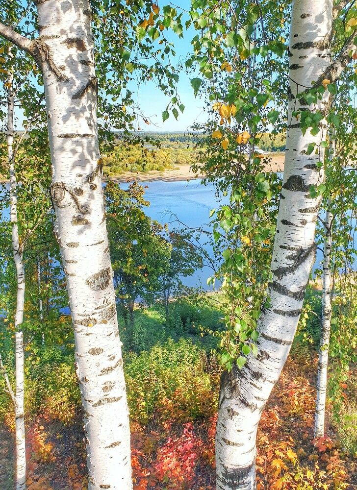 Photograph by Дмитрий