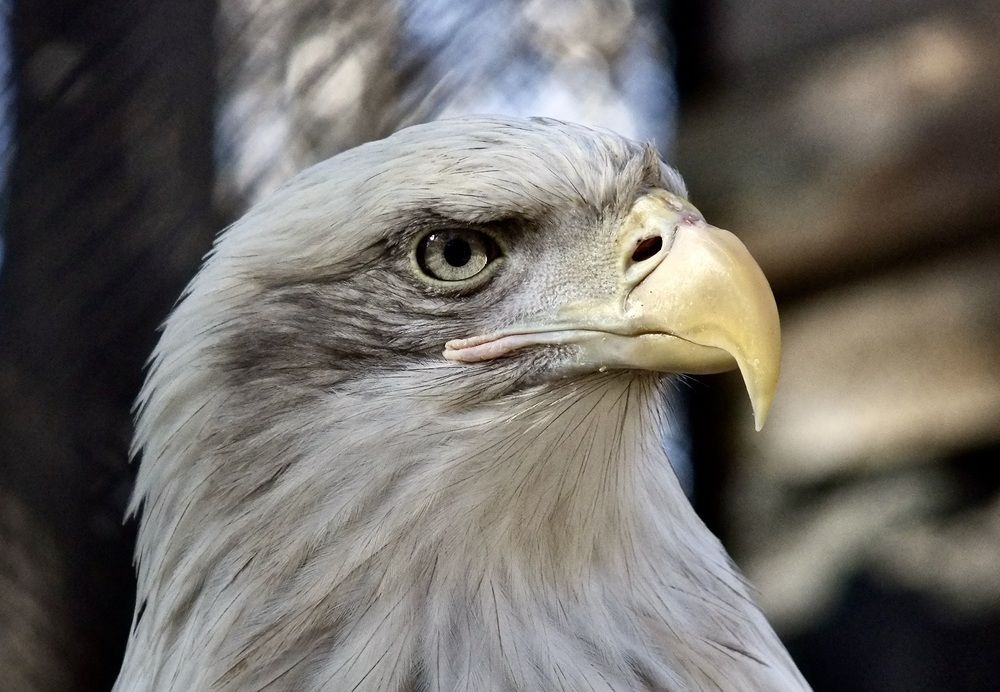 Photograph by Татьяна Шитлина