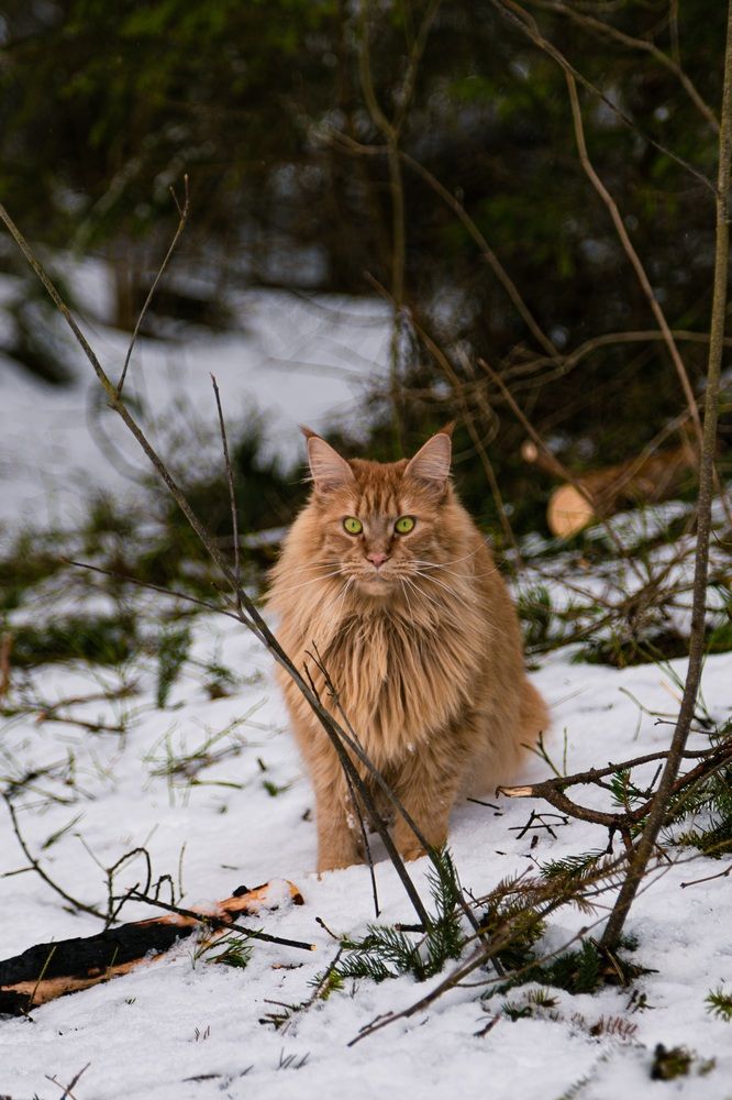 Photograph by Nika Prokopenko