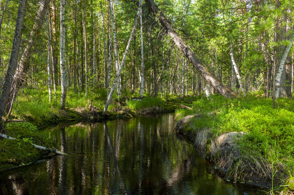 Photograph by Михаил Дронов