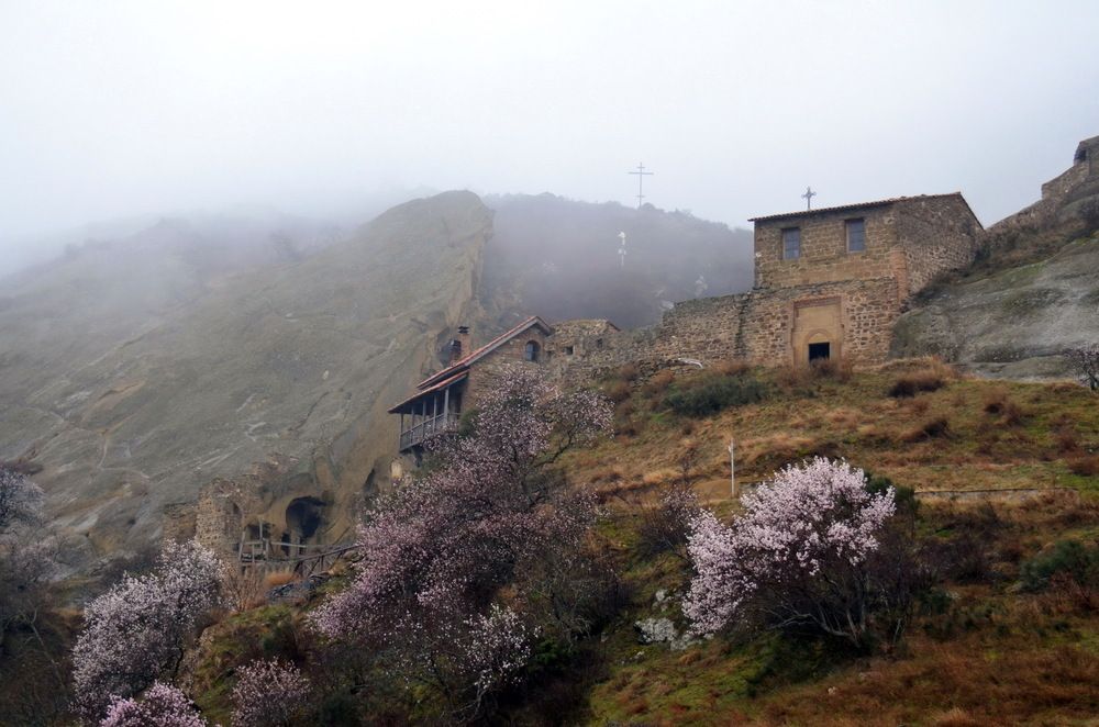 Photograph by Вера Платонова