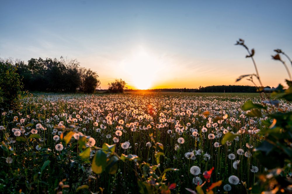 Почти по Рэю Брэдбери)