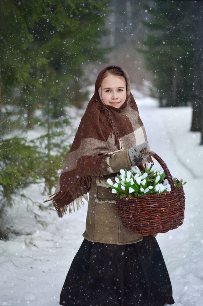 в сказочном лесу