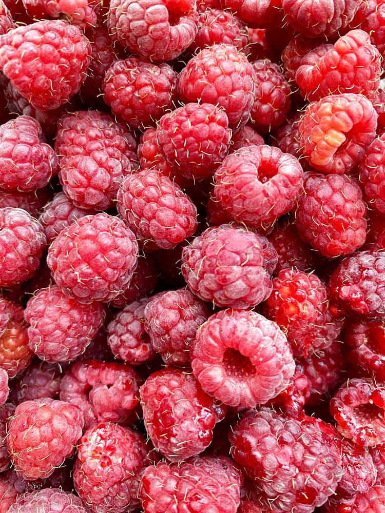 Фотография автора Наталья Василькова