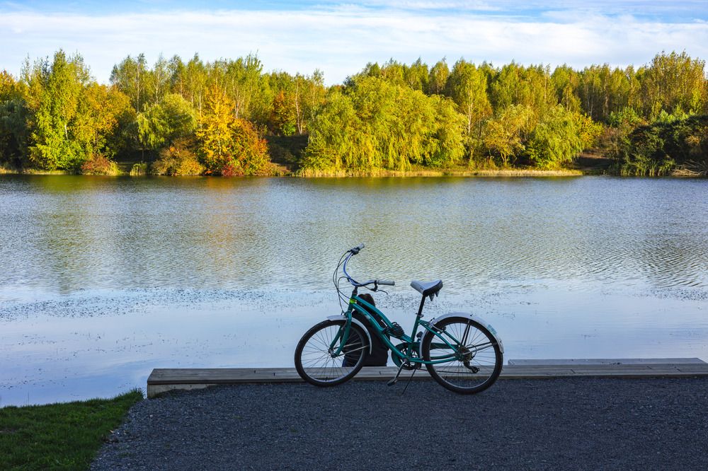 Осенняя медитация