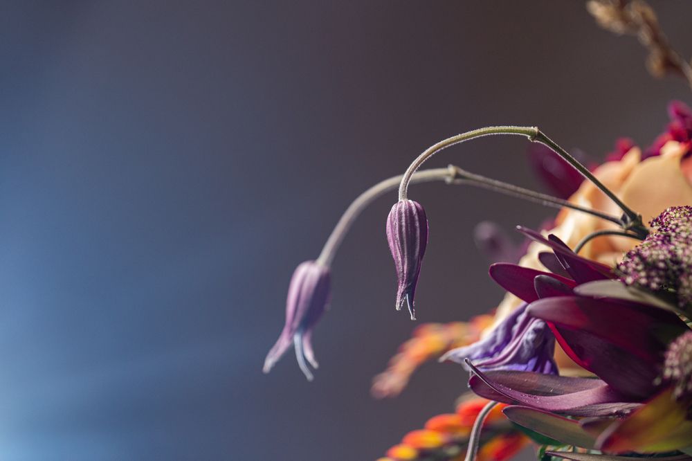 Photograph by Водолазький Виктор