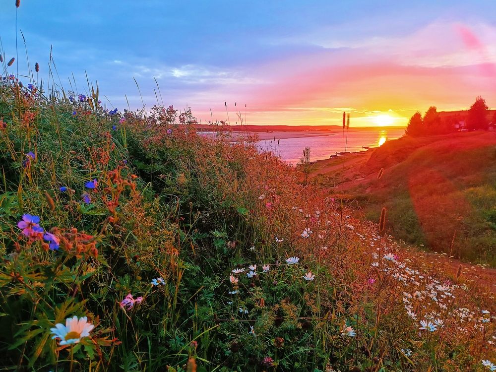 Photograph by Татьяна Бешенкина