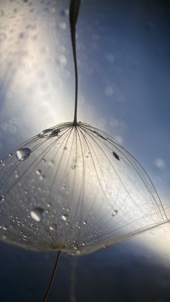 Photograph by Анна Бобкова