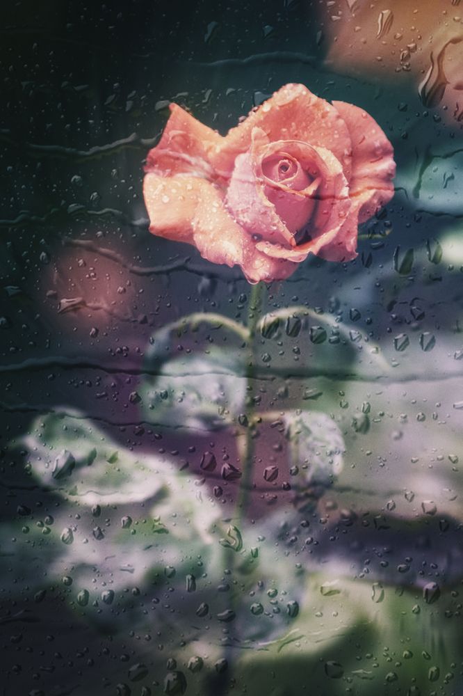 Photograph by Оксана Пономаренко