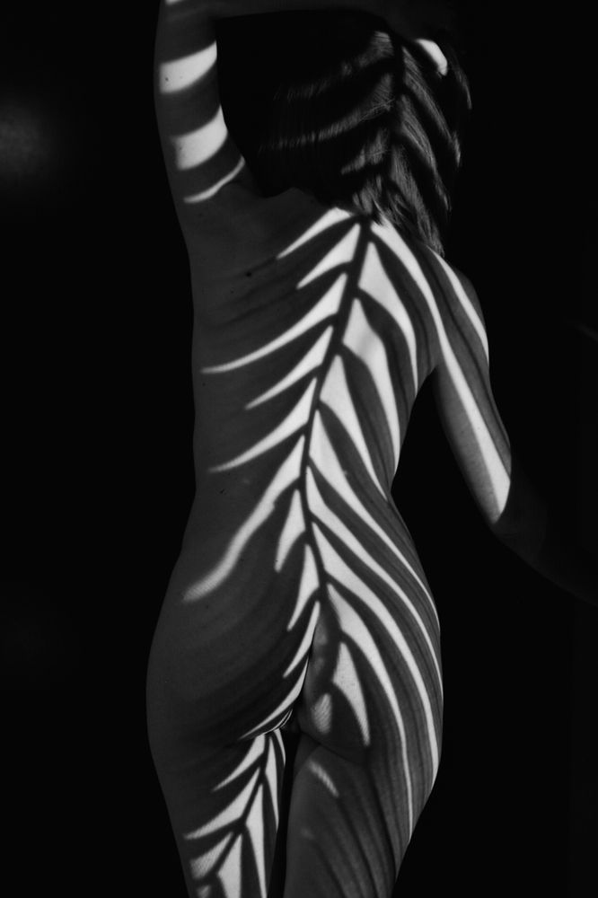 Фотография автора Дмитрий Хань