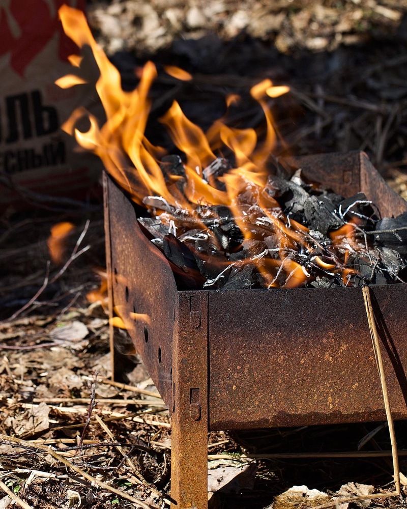 Photograph by Елена Ковалева