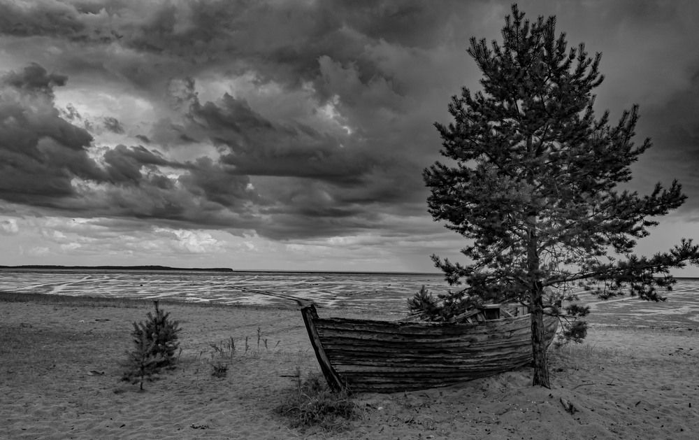 Фотография автора Александр Довганюк