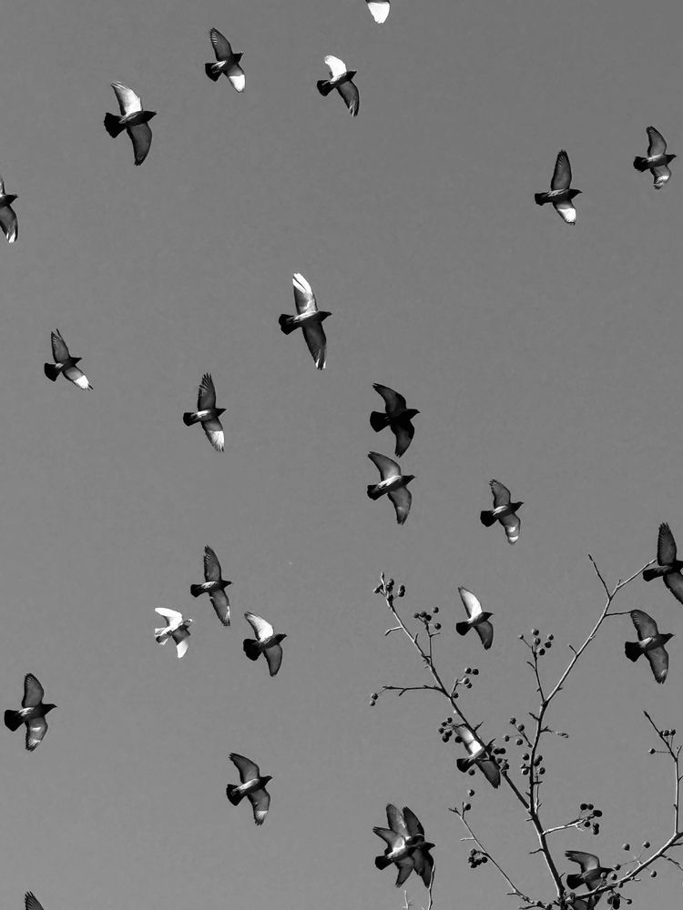 Photograph by Анна