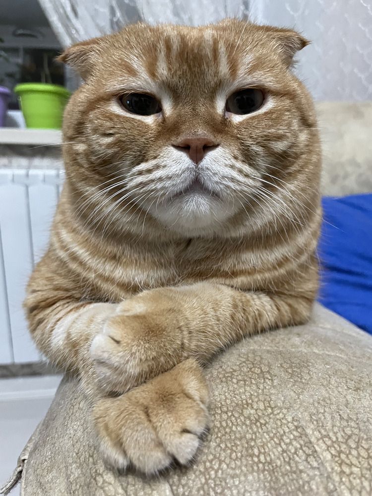 Photograph by Наталья Филатова