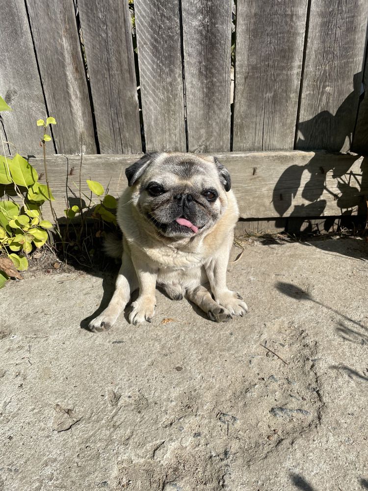 Photograph by Наталья Филатова