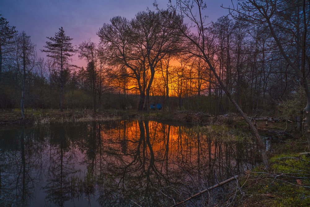 Photograph by Александр Алифанов