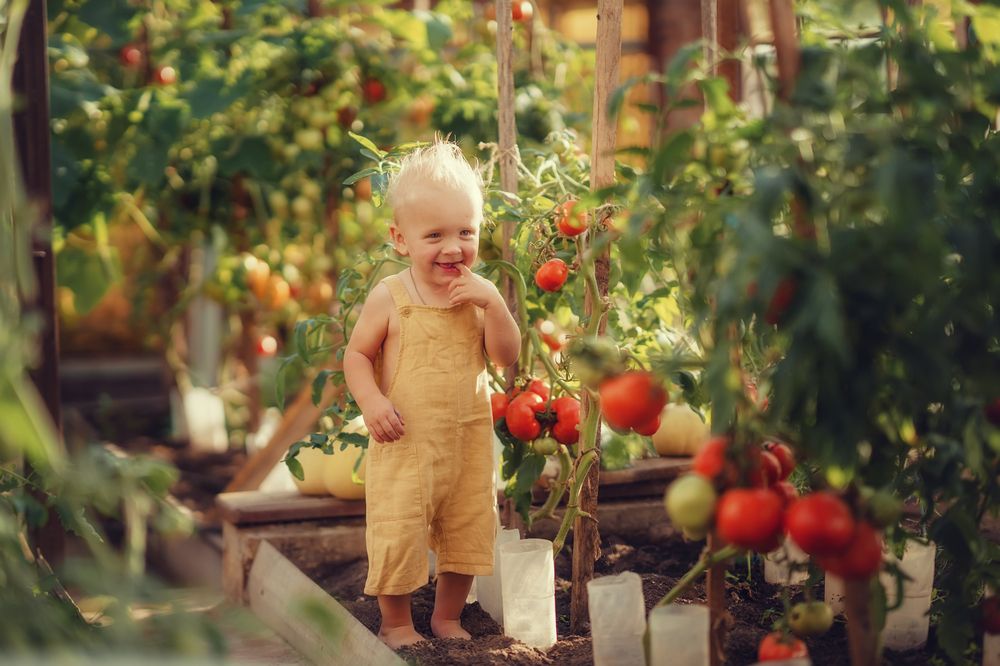 Photograph by Наталья Шкроб