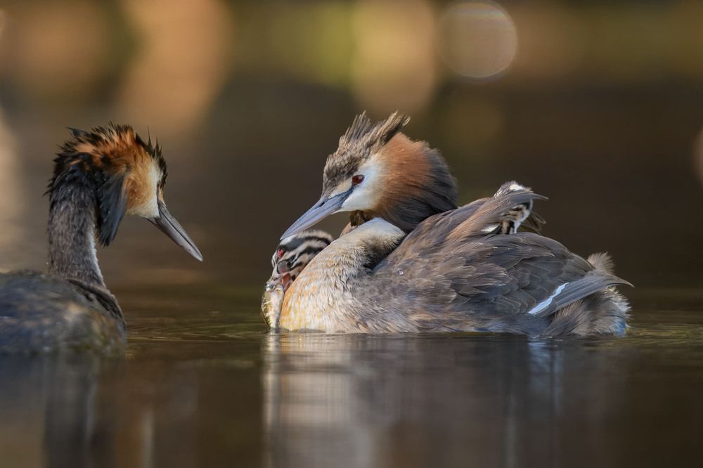 Photograph by Dennis Vagner