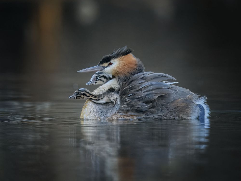 Photograph by Dennis Vagner