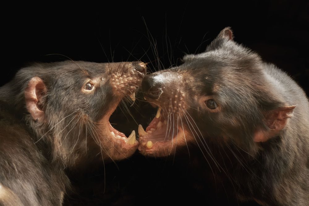 Photograph by Dennis Vagner