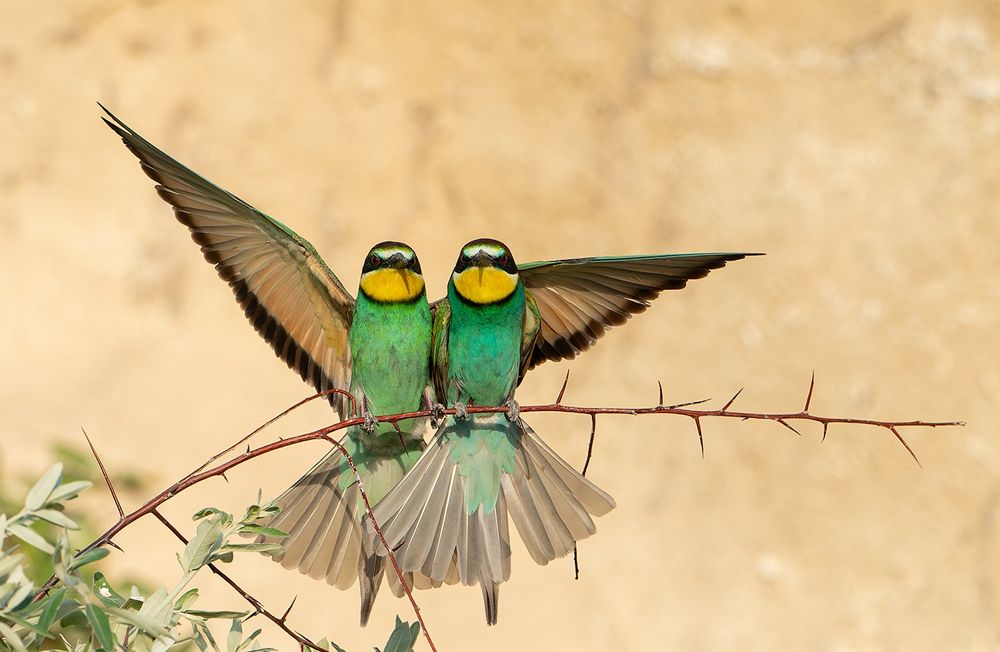 Photograph by Татьяна Жеребцова