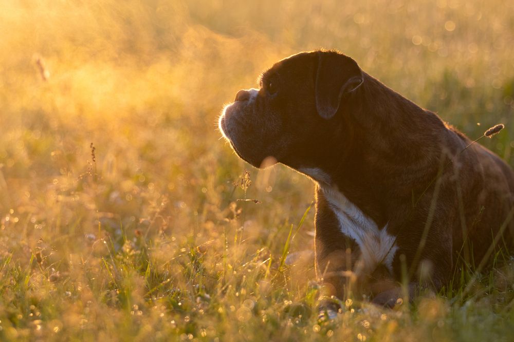 Photograph by Петракова Ольга