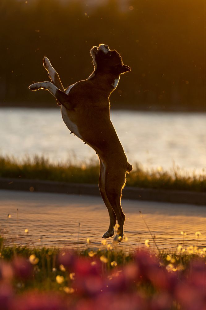 Photograph by Петракова Ольга