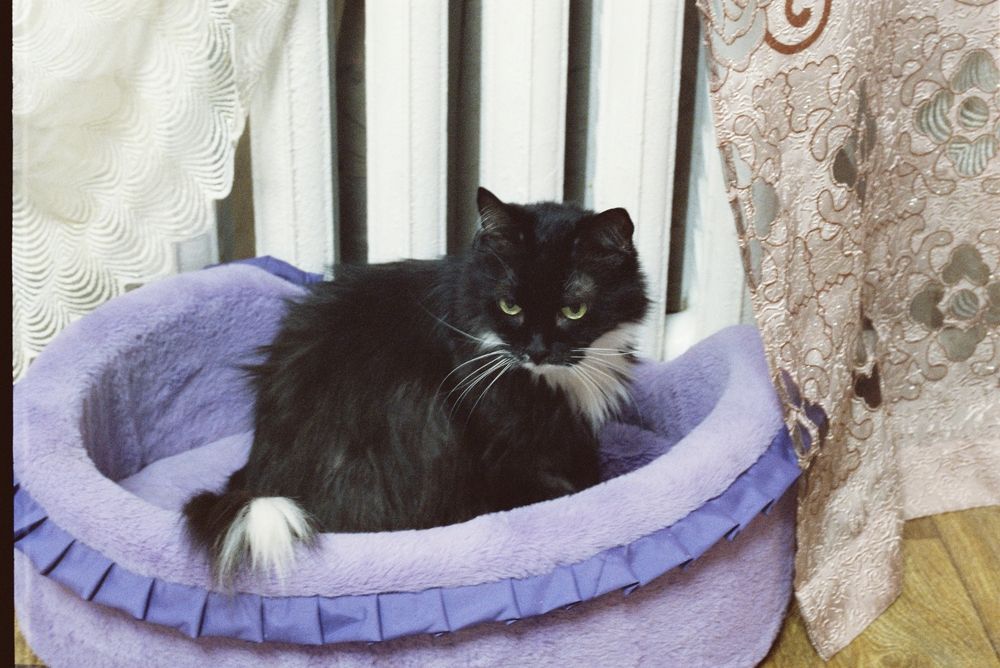 Photograph by Александр Сотниченко