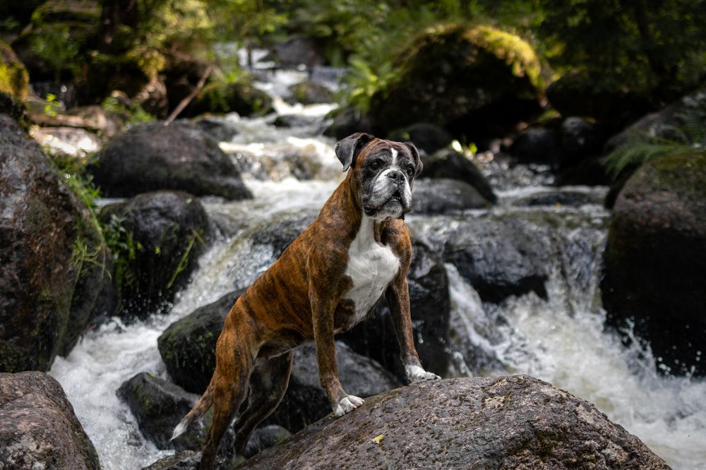 Photograph by Петракова Ольга