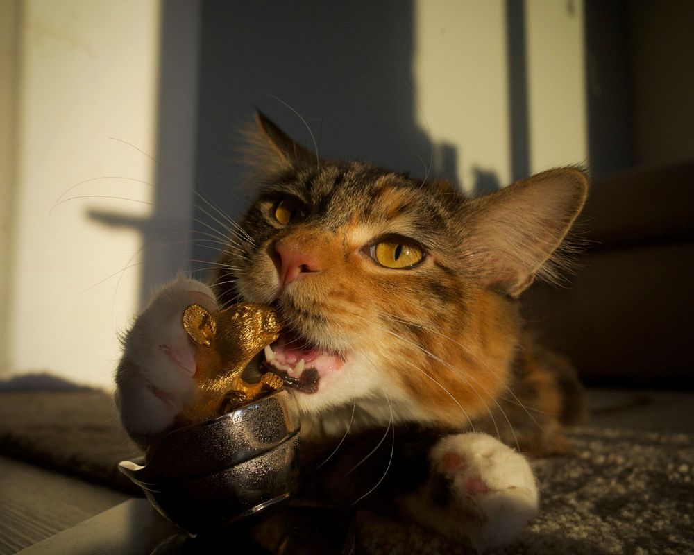 Photograph by Артемий