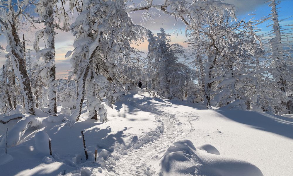 Photograph by Андрей Ефимов