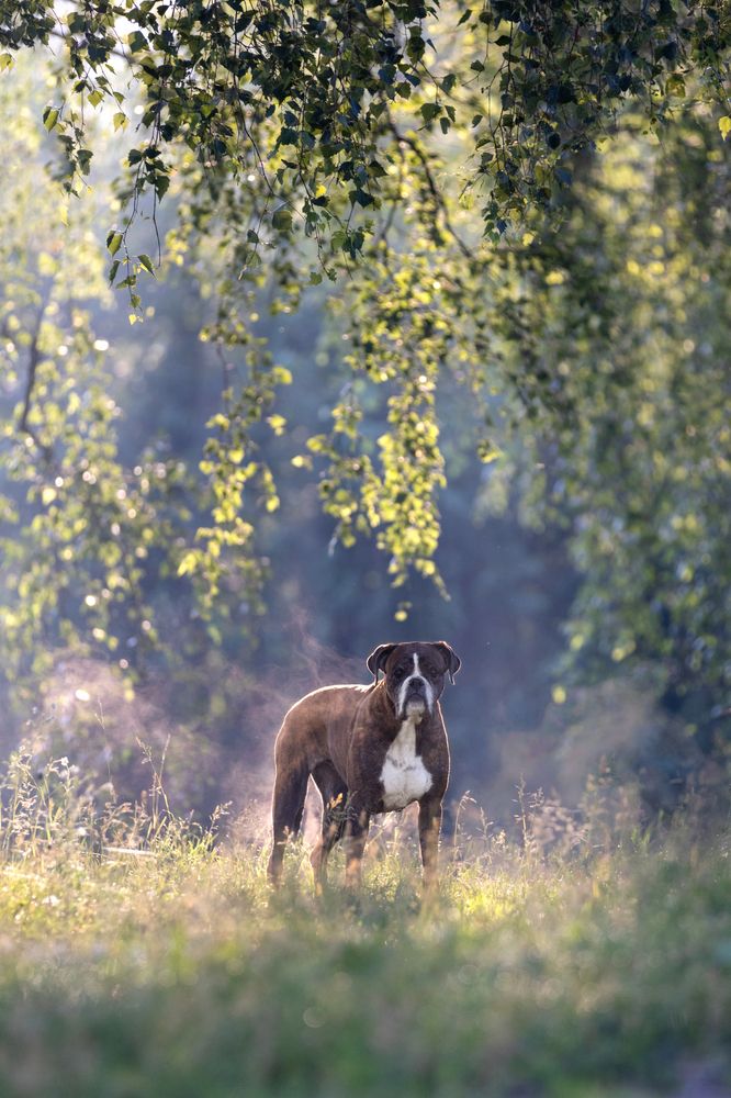 Photograph by Петракова Ольга