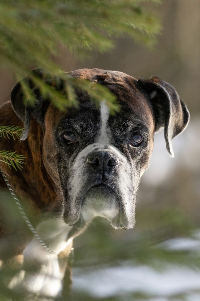 Photograph by Петракова Ольга