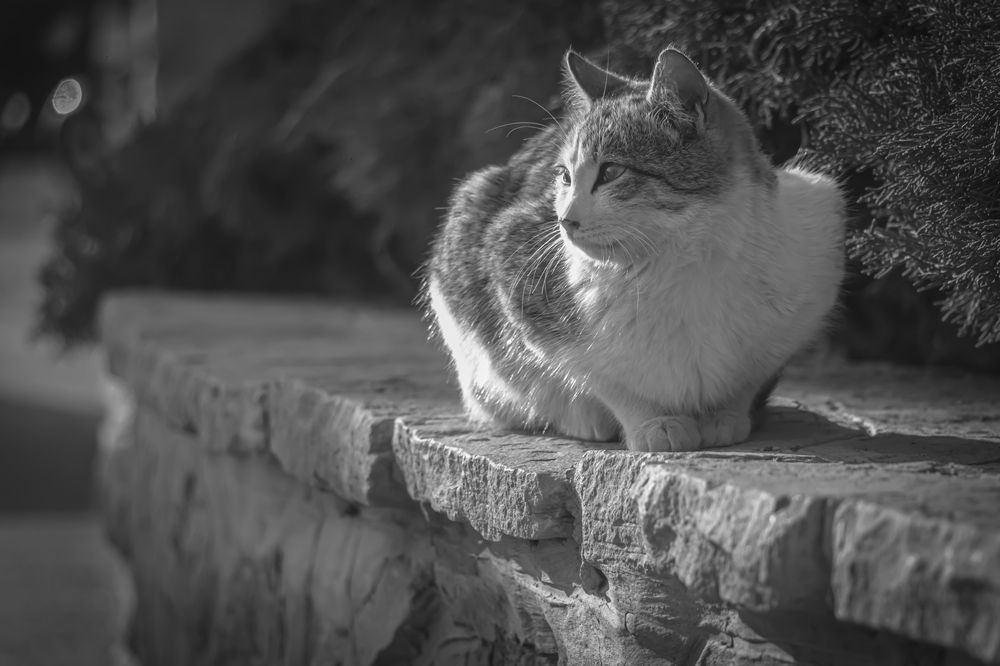 Photograph by Romina Moniri