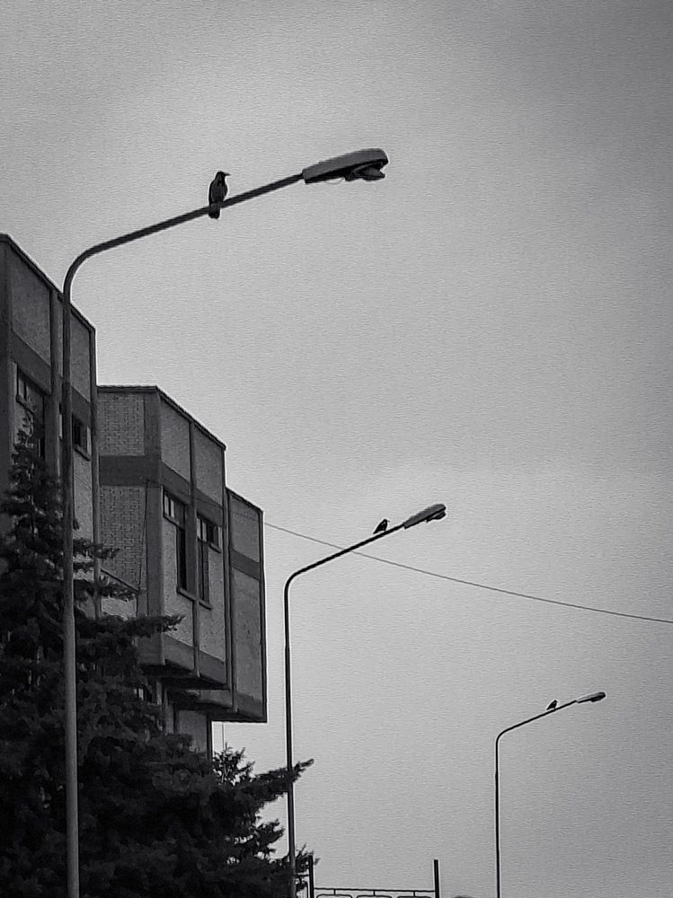Photograph by Arina Vakili AV