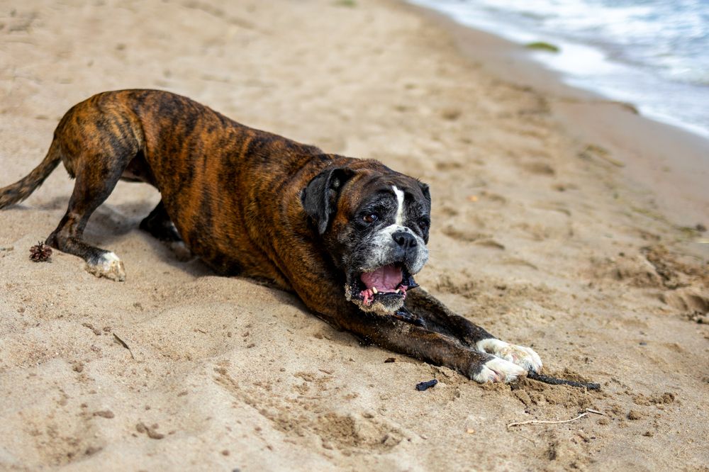 Photograph by Петракова Ольга