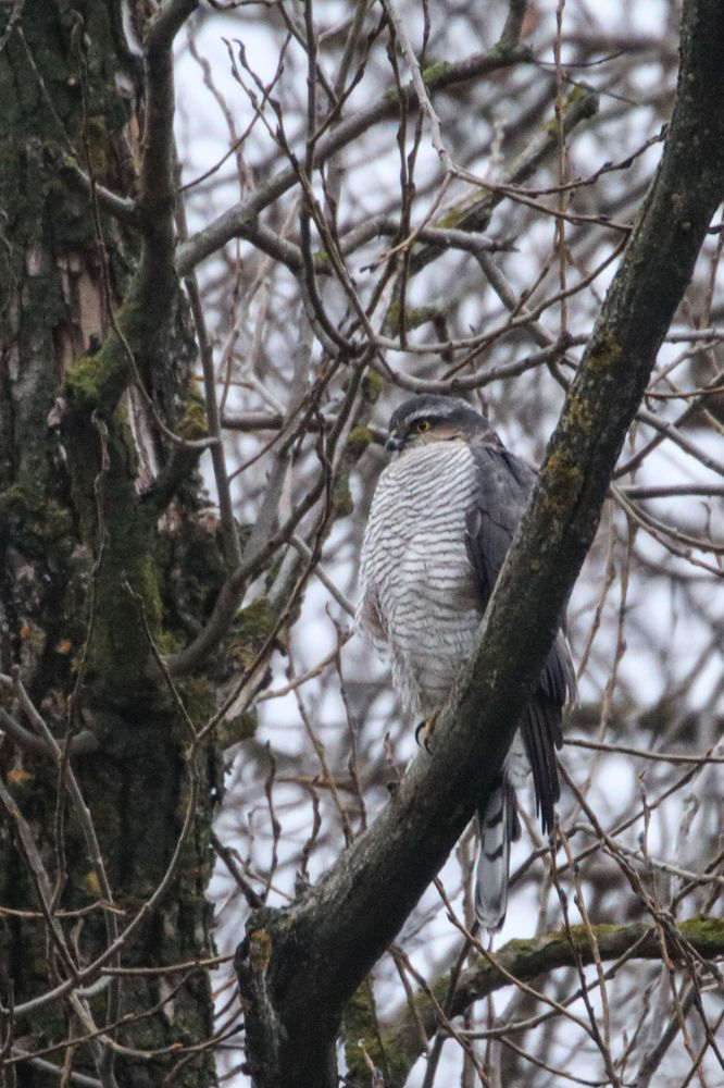 Photograph by Evgenia Korchagova