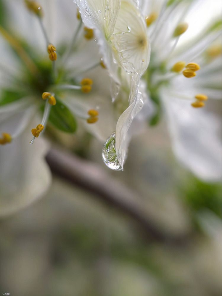 Springtime