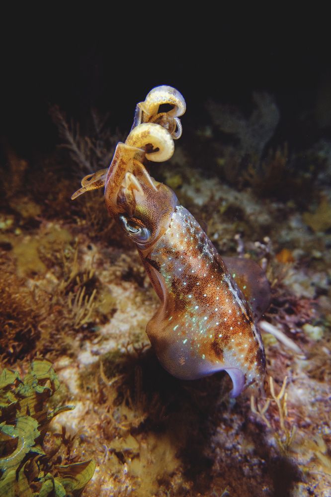 Photograph by Francesca Franchini