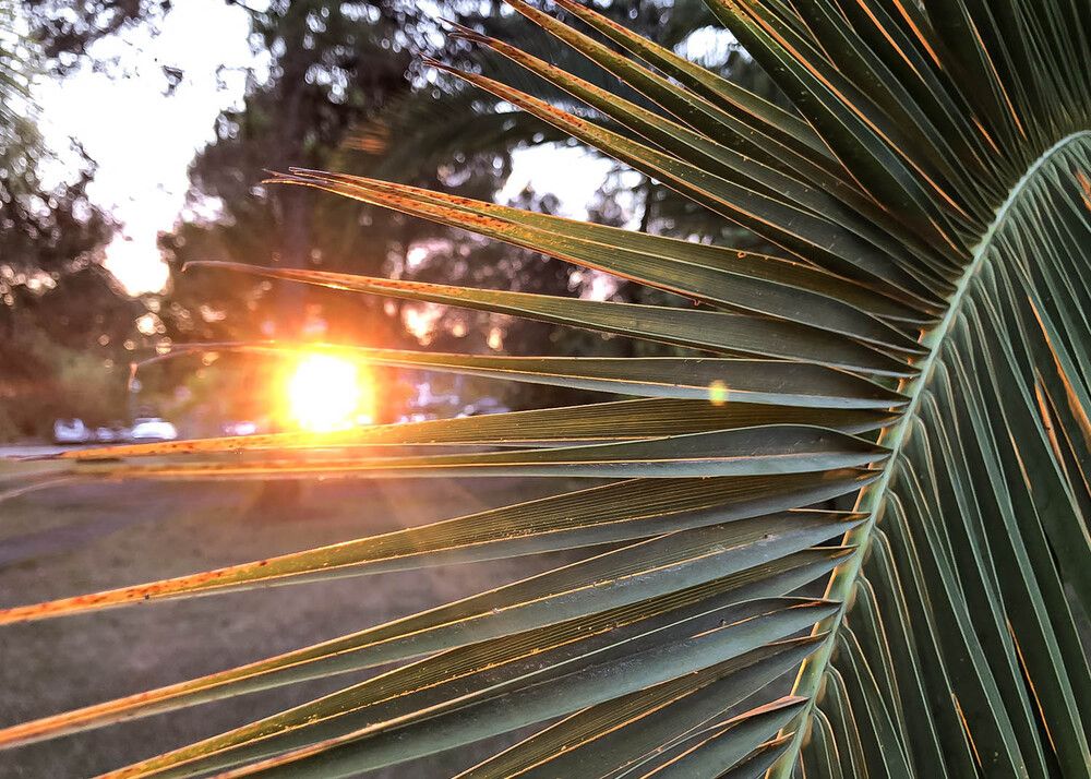 Photograph by Наталья