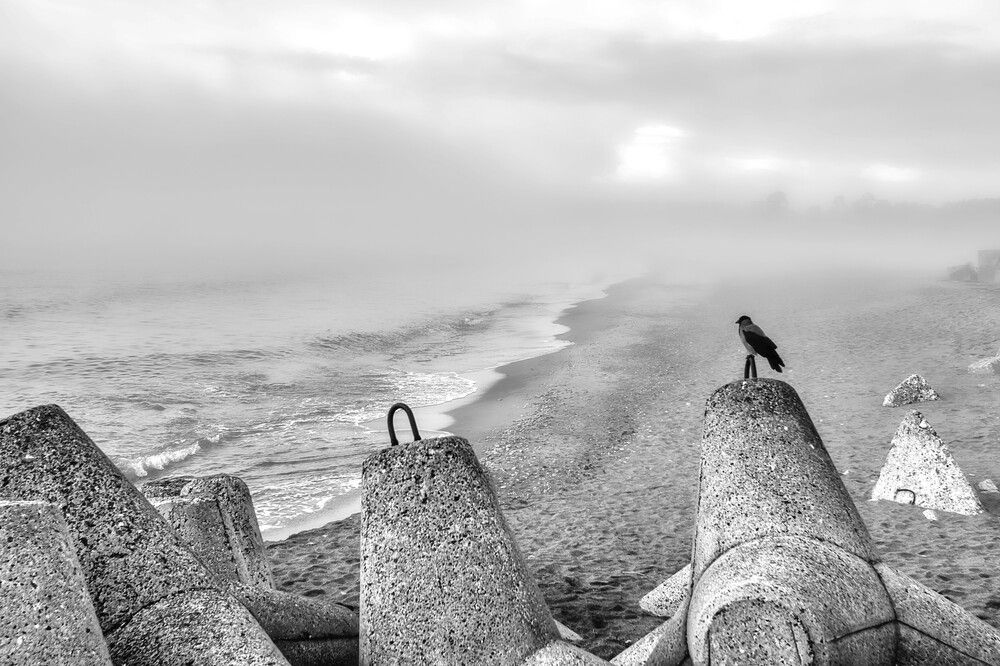 Photograph by Janis Serdienis