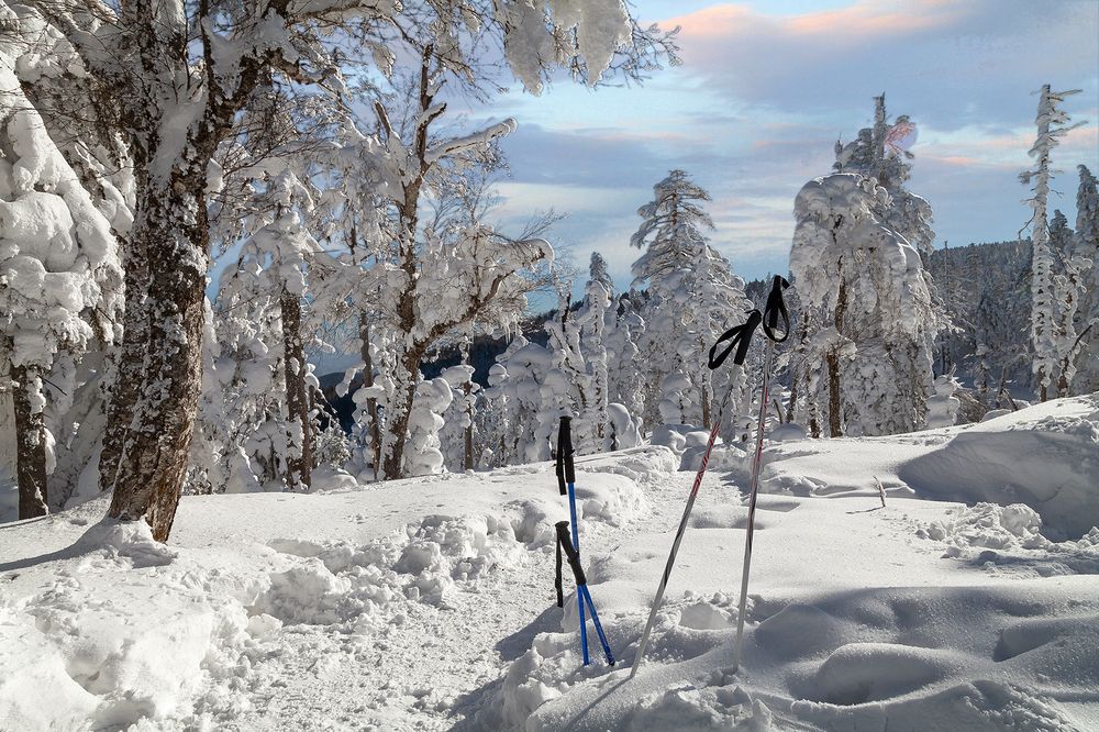 Photograph by Андрей Ефимов